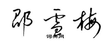 梁錦英邵雪梅草書個性簽名怎么寫