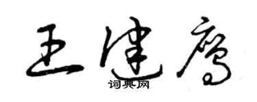 曾慶福王健鷹草書個性簽名怎么寫