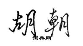 駱恆光胡朝行書個性簽名怎么寫