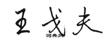 駱恆光王戈夫行書個性簽名怎么寫