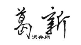 駱恆光葛新行書個性簽名怎么寫