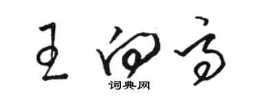 駱恆光王向高草書個性簽名怎么寫