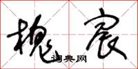 王冬齡槐宸草書怎么寫