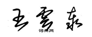 朱錫榮王雲泰草書個性簽名怎么寫