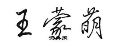 駱恆光王蒙萌行書個性簽名怎么寫