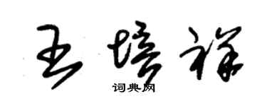 朱錫榮王培祥草書個性簽名怎么寫