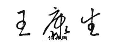 駱恆光王康生草書個性簽名怎么寫