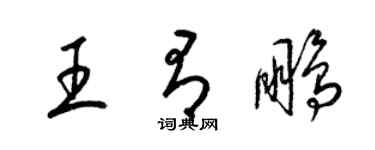 梁錦英王有鵬草書個性簽名怎么寫