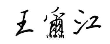 王正良王爾江行書個性簽名怎么寫