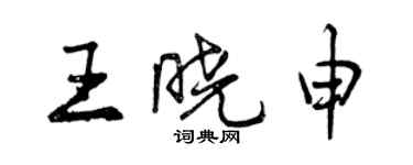 曾慶福王曉申行書個性簽名怎么寫