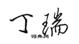 駱恆光丁瑞行書個性簽名怎么寫