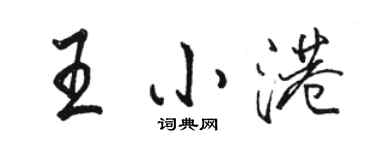 駱恆光王小港行書個性簽名怎么寫