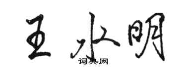 駱恆光王水明行書個性簽名怎么寫