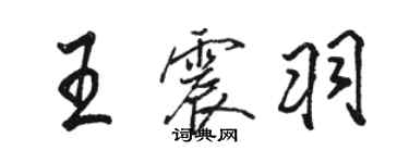 駱恆光王震羽行書個性簽名怎么寫