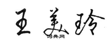 駱恆光王美玲行書個性簽名怎么寫