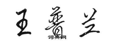 駱恆光王普蘭行書個性簽名怎么寫