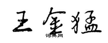 曾慶福王金猛行書個性簽名怎么寫