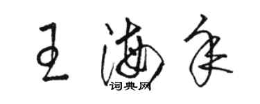 駱恆光王海年草書個性簽名怎么寫