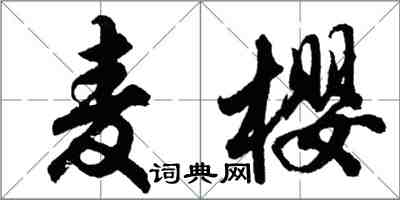 胡問遂麥櫻行書怎么寫