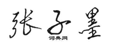 駱恆光張子墨行書個性簽名怎么寫