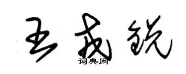 朱錫榮王戎銳草書個性簽名怎么寫