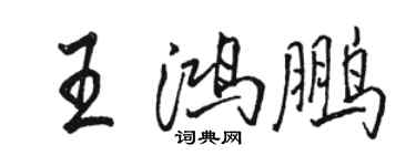 駱恆光王鴻鵬行書個性簽名怎么寫