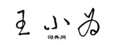 駱恆光王小為草書個性簽名怎么寫