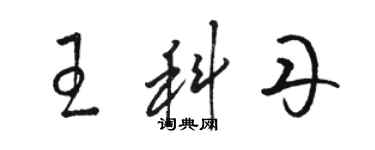 駱恆光王科丹草書個性簽名怎么寫