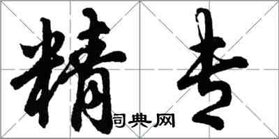 胡問遂精專行書怎么寫