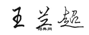 駱恆光王蘭超行書個性簽名怎么寫