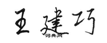 駱恆光王建巧行書個性簽名怎么寫
