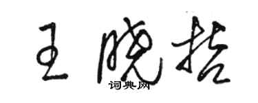 駱恆光王曉哲草書個性簽名怎么寫