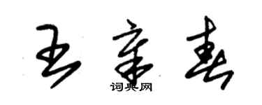 朱錫榮王章春草書個性簽名怎么寫