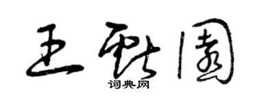 曾慶福王獻園草書個性簽名怎么寫
