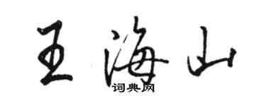 駱恆光王海山行書個性簽名怎么寫