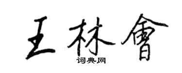 王正良王林會行書個性簽名怎么寫