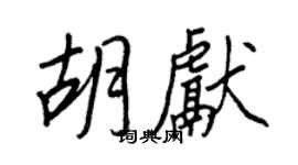 王正良胡獻行書個性簽名怎么寫