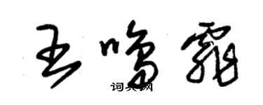 朱錫榮王鳴霏草書個性簽名怎么寫