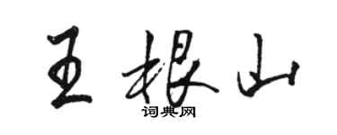 駱恆光王根山行書個性簽名怎么寫