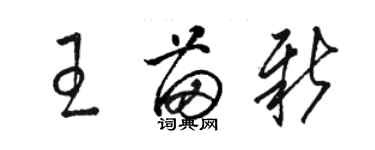 駱恆光王苗新草書個性簽名怎么寫