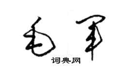 梁錦英毛軍草書個性簽名怎么寫
