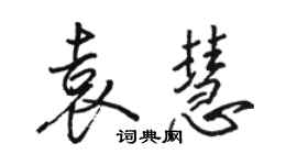 駱恆光袁慧行書個性簽名怎么寫