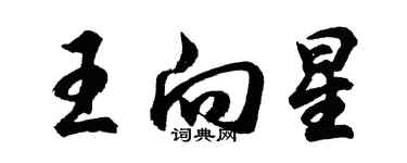 胡問遂王向星行書個性簽名怎么寫