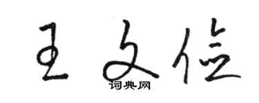 駱恆光王文儉草書個性簽名怎么寫