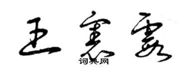 曾慶福王憲霞草書個性簽名怎么寫