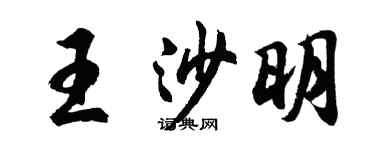 胡問遂王沙明行書個性簽名怎么寫