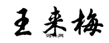 胡問遂王來梅行書個性簽名怎么寫