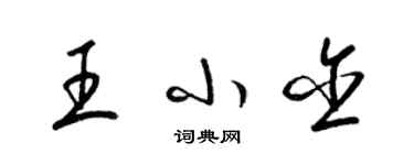 梁錦英王小含草書個性簽名怎么寫