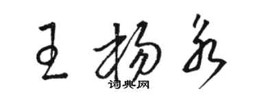 駱恆光王楊永草書個性簽名怎么寫