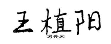 曾慶福王植陽行書個性簽名怎么寫